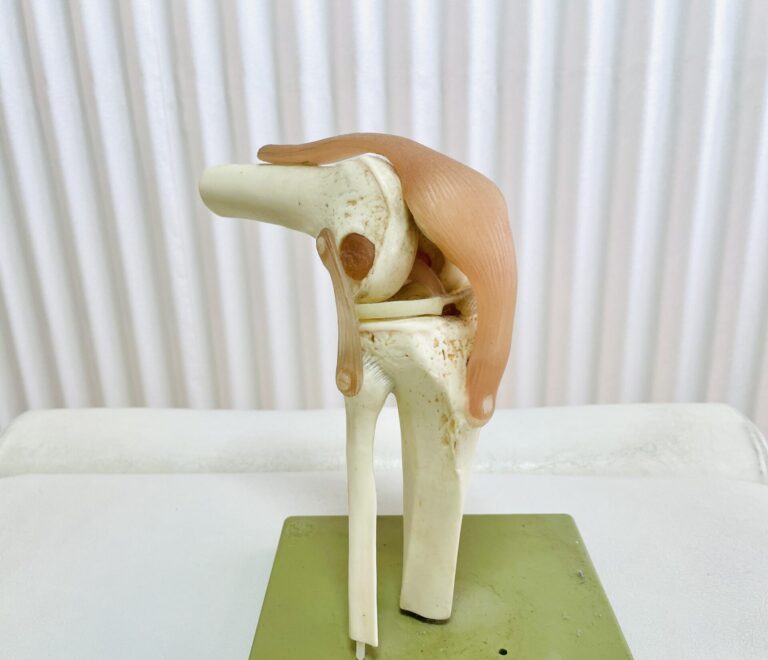 ひざ痛に関して